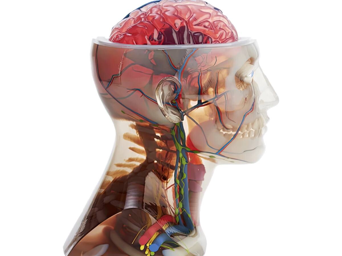 material-image