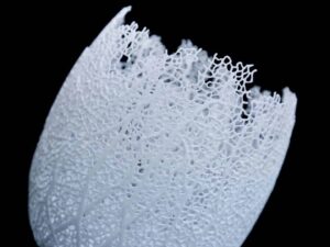 SLS 3D Printed White Nylon Flower Pot Cover