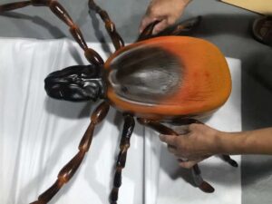 SLA 3D Printed Large-scale Insect Models for Museum Display