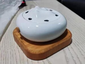 SLA 3D Printed Electric Incense Burner Resin Prototype