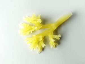 DLP 3D Printed Silicone Gel Blood Vessel Model