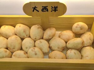 SLA 3D Printed and Fine-Painted Potato Resin Display Models