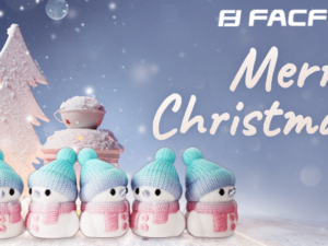 Merry Christmas! Wishing you a joyful holiday filled with warmth and inspiration!