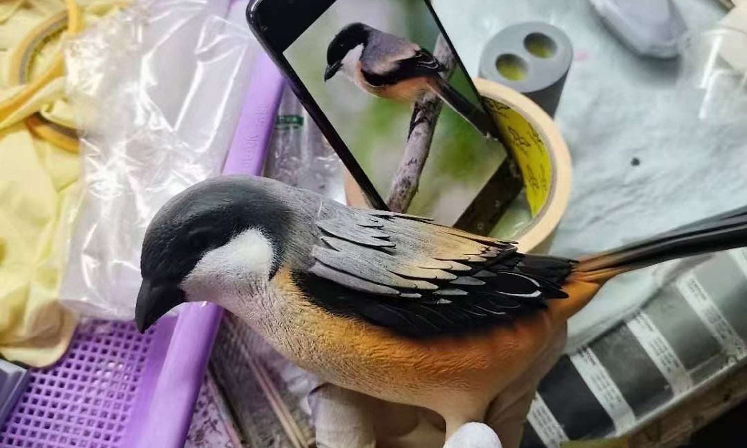 首图